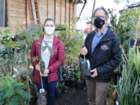 Instituto vai usar mudas doadas em projeto de Arborização da cidade